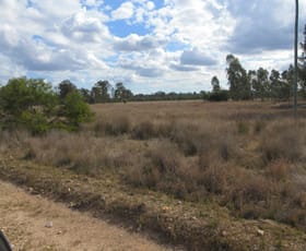 Rural / Farming commercial property for sale at Lot 149 Kofoeds Road Tara QLD 4421