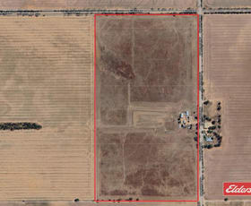 Rural / Farming commercial property sold at 976 Racecourse Road Balaklava SA 5461