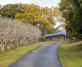 Rural / Farming commercial property for sale at 171 Diamond Valley Road Diamond Valley QLD 4553