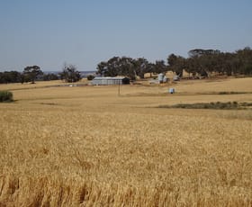 Rural / Farming commercial property sold at 894 Yornaning West Road Lol Gray WA 6311