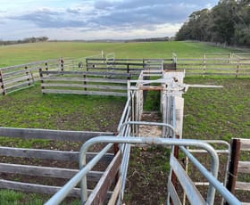 Rural / Farming commercial property sold at 4681 Spencer Road Narrikup WA 6326
