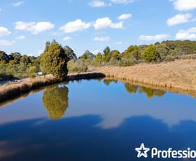 Rural / Farming commercial property for sale at 21 Mount Homer Road Yetholme NSW 2795