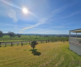 Rural / Farming commercial property for sale at 5250 Golden Highway Merriwa NSW 2329