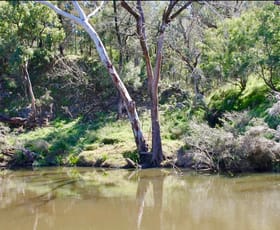 Rural / Farming commercial property sold at Lot 7 Gibraltar Road Tenterfield NSW 2372