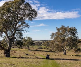 Rural / Farming commercial property for sale at Peggy Hill Road Eden Valley SA 5235