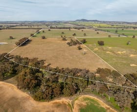 Rural / Farming commercial property sold at 29 Jaegers Lane The Rock NSW 2655