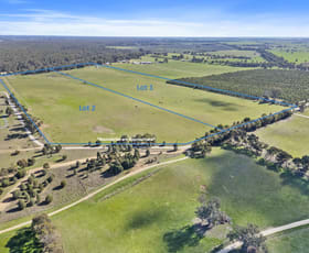 Rural / Farming commercial property for sale at 1 , 52 Ngawe Road Barooga NSW 3644