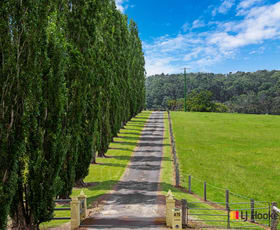 Rural / Farming commercial property for sale at 470 Larrys Mountain Road Mogendoura NSW 2537