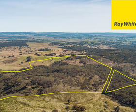 Rural / Farming commercial property sold at Lot 138 Blakney Creek North Road Gunning NSW 2581