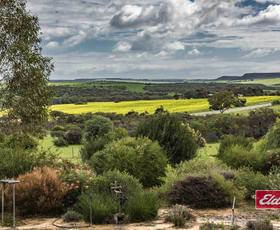 Rural / Farming commercial property sold at 1668 Chapman Valley Road Narra Tarra WA 6532