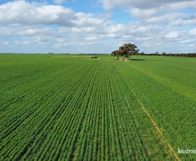 Rural / Farming commercial property sold at "Browns" Chandler-Merredin Road Burracoppin WA 6421