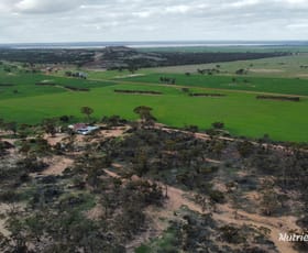 Rural / Farming commercial property sold at 1325 Knungajin Road Nungarin WA 6490