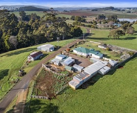 Rural / Farming commercial property for sale at 19 Langmaids Road Kindred TAS 7310