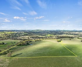 Rural / Farming commercial property for sale at Lot 1 Cattle Street Binalong NSW 2584