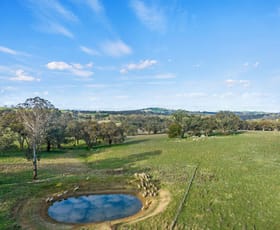 Rural / Farming commercial property for sale at Lot 1 Cattle Street Binalong NSW 2584