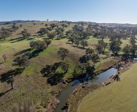 Rural / Farming commercial property for sale at 'Killeaton' 183 Sullivans Road Molong NSW 2866