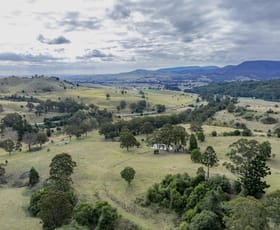 Rural / Farming commercial property for sale at 0 Border Road Killarney QLD 4373