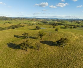 Rural / Farming commercial property for sale at 4276 Westbrook Road Tarcutta NSW 2652