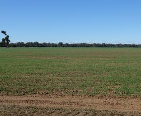 Rural / Farming commercial property sold at 2557 Back Gular Road "Budgeon"' Combara NSW 2829