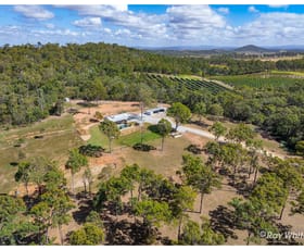 Rural / Farming commercial property for sale at Address On Request Bungundarra QLD 4703