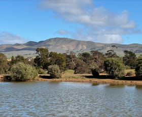 Rural / Farming commercial property sold at Lot 74 Mount Bryan East Road Mount Bryan East SA 5419