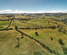 Rural / Farming commercial property for sale at Bigga NSW 2583