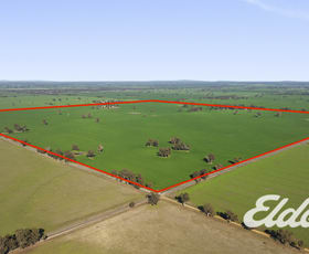 Rural / Farming commercial property for sale at 203 Hargreaves Road Wilby VIC 3728