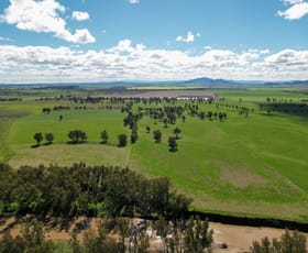 Rural / Farming commercial property sold at 88 Orange Grove Road Gunnedah NSW 2380