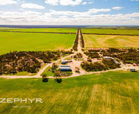 Rural / Farming commercial property for sale at 885 Brennand Road South Yilgarn WA 6426
