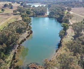 Rural / Farming commercial property for sale at 155 Tierneys Road Young NSW 2594