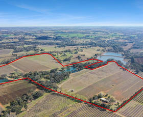 Rural / Farming commercial property for sale at 155 Tierneys Road Young NSW 2594