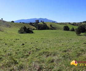 Rural / Farming commercial property sold at Butchers Creek QLD 4885
