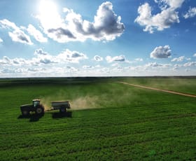 Rural / Farming commercial property for sale at Mogal Plain 3595 Nyngan Road Tottenham NSW 2873