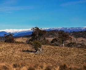 Rural / Farming commercial property for sale at Lot 10 Avonside Road Jindabyne NSW 2627