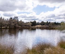 Rural / Farming commercial property sold at 3 Shinglehouse Road Bywong NSW 2621