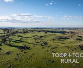 Rural / Farming commercial property for sale at 140 Pebbly Range Road Tungkillo SA 5236