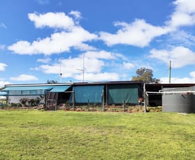 Rural / Farming commercial property for sale at Eneabba WA 6518