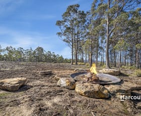 Rural / Farming commercial property sold at Lot 1 Levendale Back Road Levendale TAS 7120