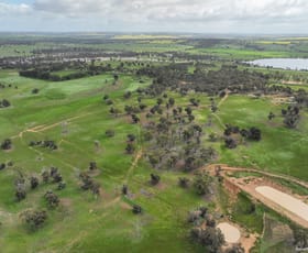 Rural / Farming commercial property sold at 164 Earnshaw Road Bokal WA 6392