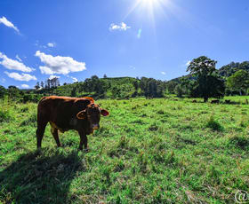 Rural / Farming commercial property for sale at 92 Gap Road Cedar Pocket QLD 4570