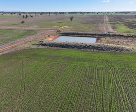 Rural / Farming commercial property for sale at 377/Troths Lane Quandialla NSW 2721