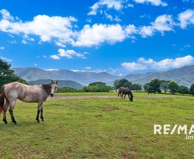 Rural / Farming commercial property sold at 332 Goldsborough Road Goldsborough QLD 4865