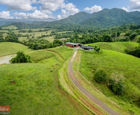 Rural / Farming commercial property for sale at 527 Donkin Road Utchee Creek QLD 4871