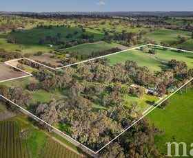 Rural / Farming commercial property sold at 74 Heggies Boundary Road Flaxman Valley SA 5235