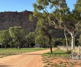 Rural / Farming commercial property for sale at 1970 Ilparpa Road White Gums NT 0870
