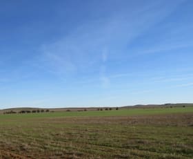 Rural / Farming commercial property sold at "Averies" Chapman Road Coomooroo SA 5431