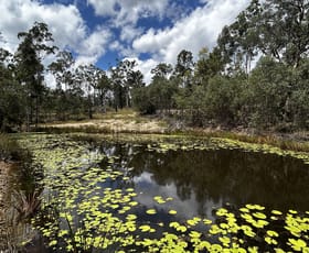 Rural / Farming commercial property for sale at 241 Bruxner Road Drake NSW 2469