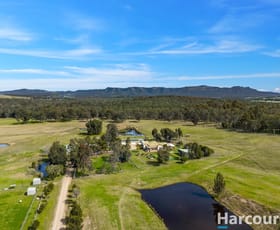 Rural / Farming commercial property sold at 778 Old North Road Rothbury NSW 2320