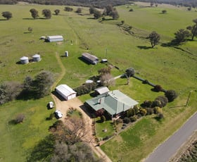 Rural / Farming commercial property for sale at "Glenroy" 165 Bald Hills Road Grenfell NSW 2810