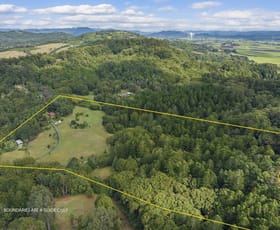 Rural / Farming commercial property for sale at 64 Hattons Road Eviron NSW 2484